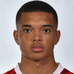 M.迪茨