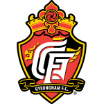 庆南FC队徽
