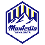 山形山神队徽